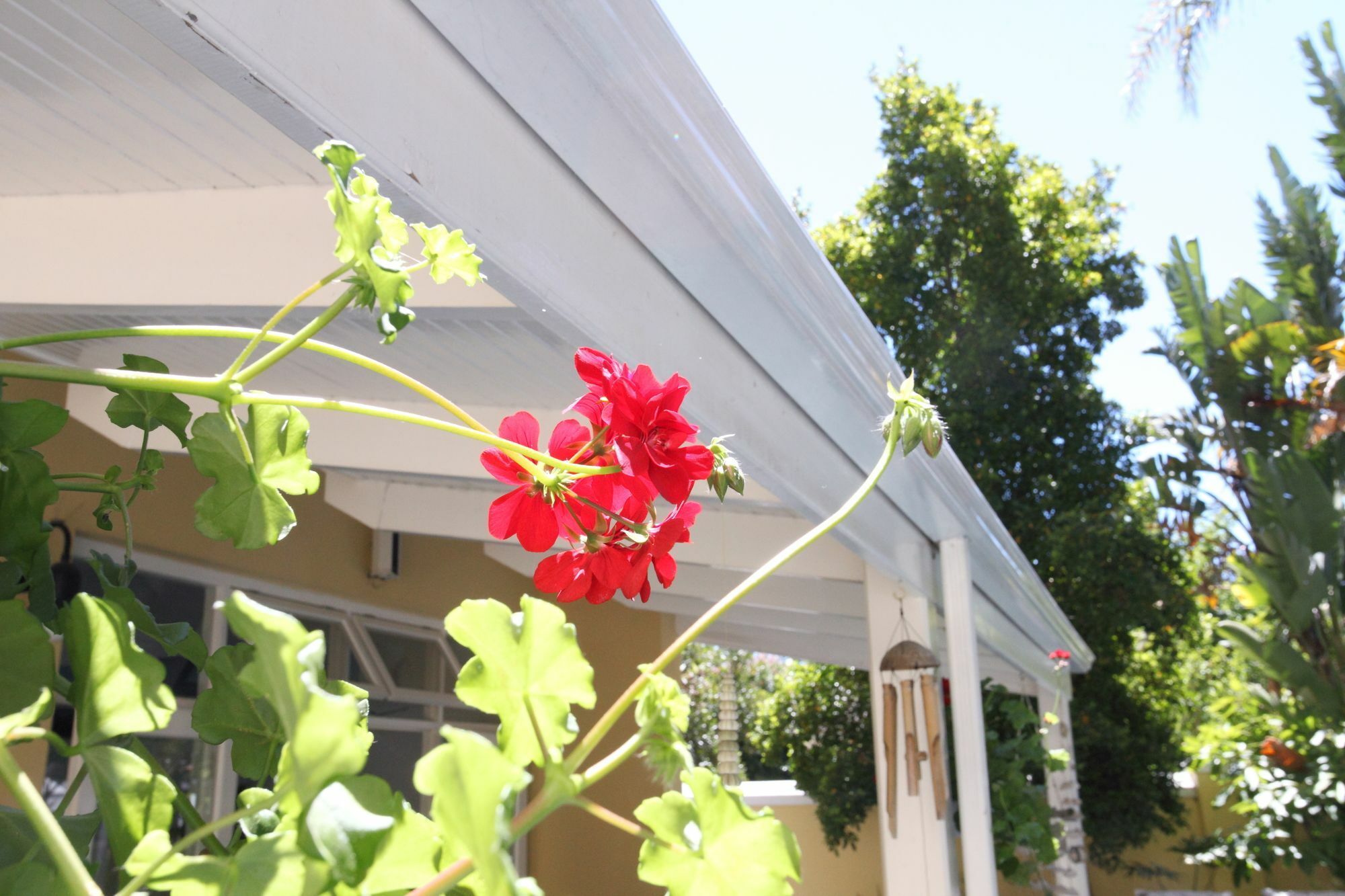 Hunneyball House Stellenbosch Extérieur photo
